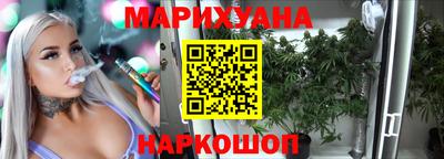 крисы Камышлов