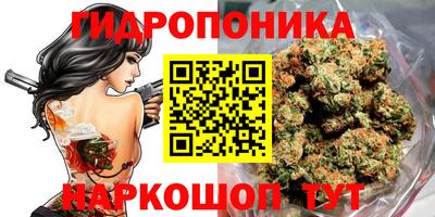 крисы Камышлов