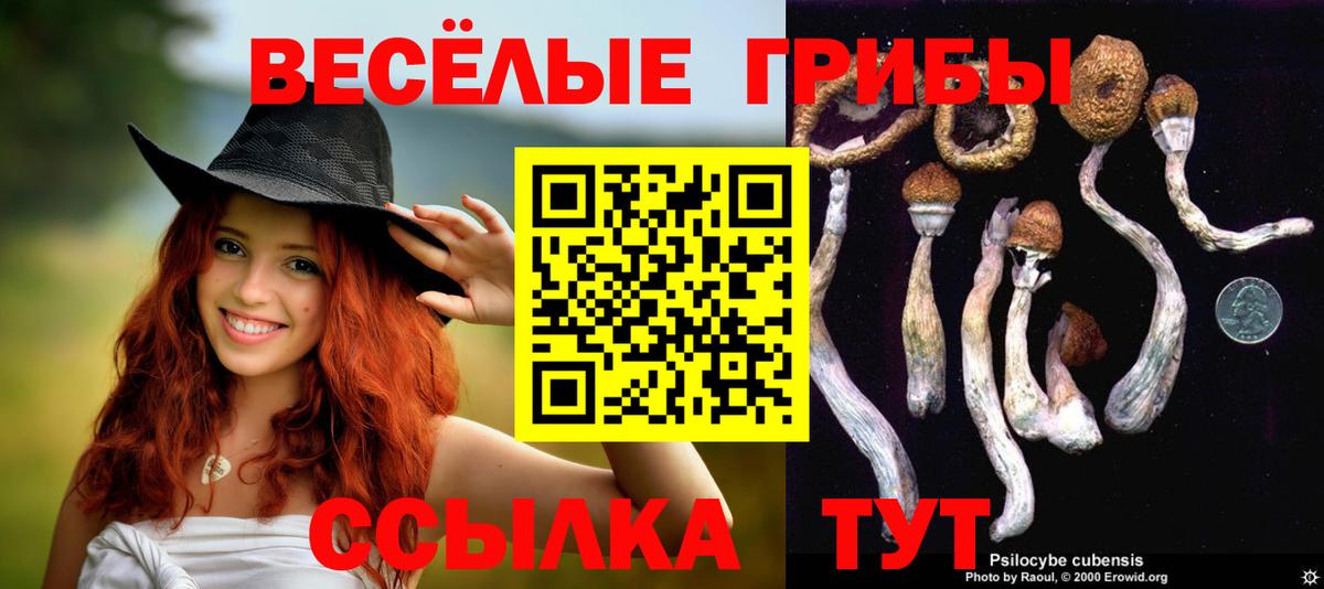 Псилоцибиновые грибы мицелий  Вход с VPN  Когалым 